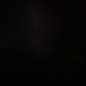 Meet your Posher, Dee